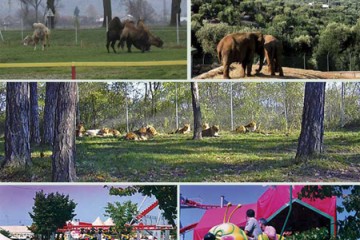 zoosafari fasanolandia